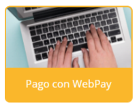 webpay-ioi-05